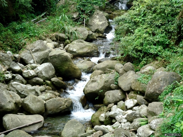 2012-7-3阿里山大凍山行(順遊迷糊步道福山古道)