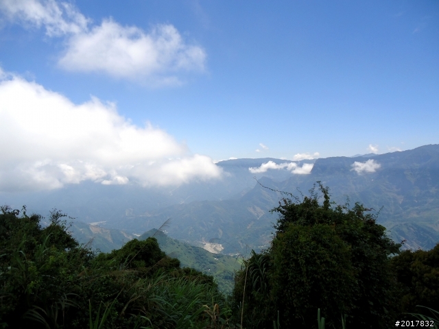 2012-7-3阿里山大凍山行(順遊迷糊步道福山古道)