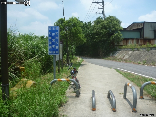 異龍X1: 華江橋-鶯歌-大溪橋