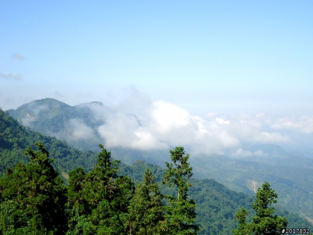 2012-7-3阿里山大凍山行(順遊迷糊步道福山古道)