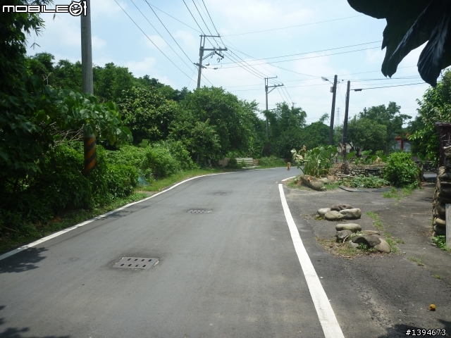 異龍X1: 華江橋-鶯歌-大溪橋