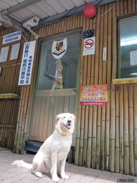 省道一姐司馬冒險,派大欣閃出尿!