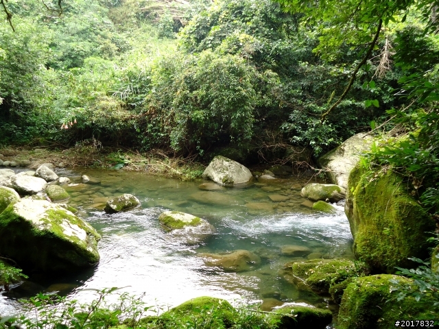 2012-7-3阿里山大凍山行(順遊迷糊步道福山古道)