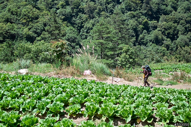 DP2 南湖大山行