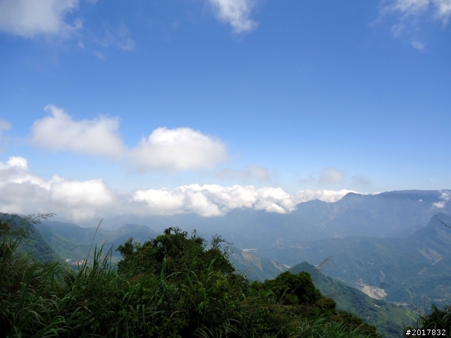2012-7-3阿里山大凍山行(順遊迷糊步道福山古道)
