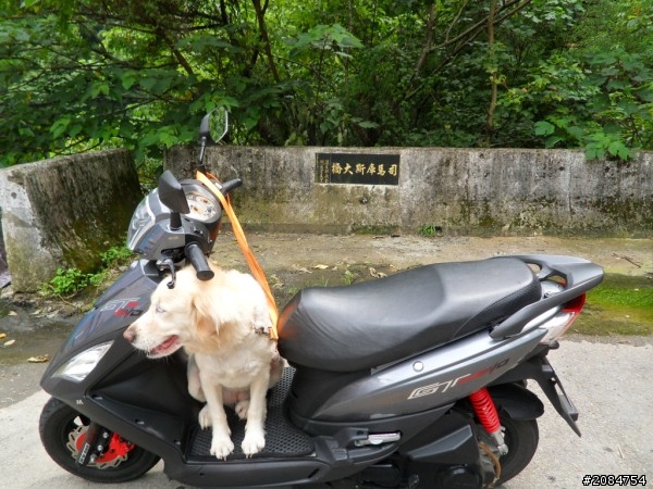省道一姐司馬冒險,派大欣閃出尿!