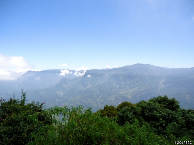 2012-7-3阿里山大凍山行(順遊迷糊步道福山古道)