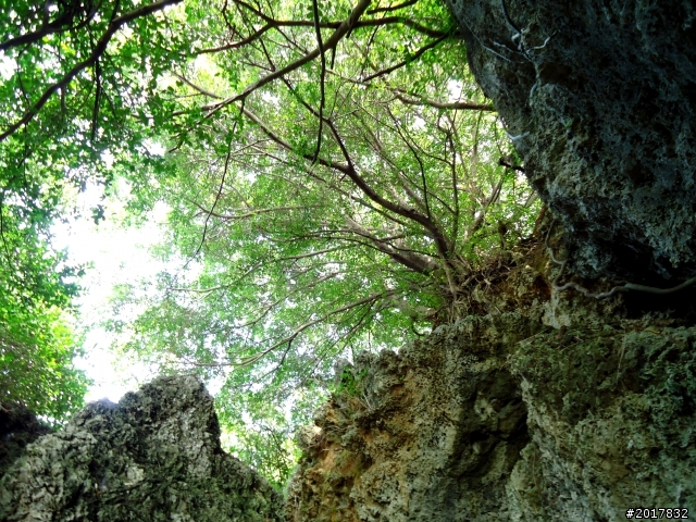 2012-7-15天神遺落在凡間 的一顆珍珠小琉球之旅