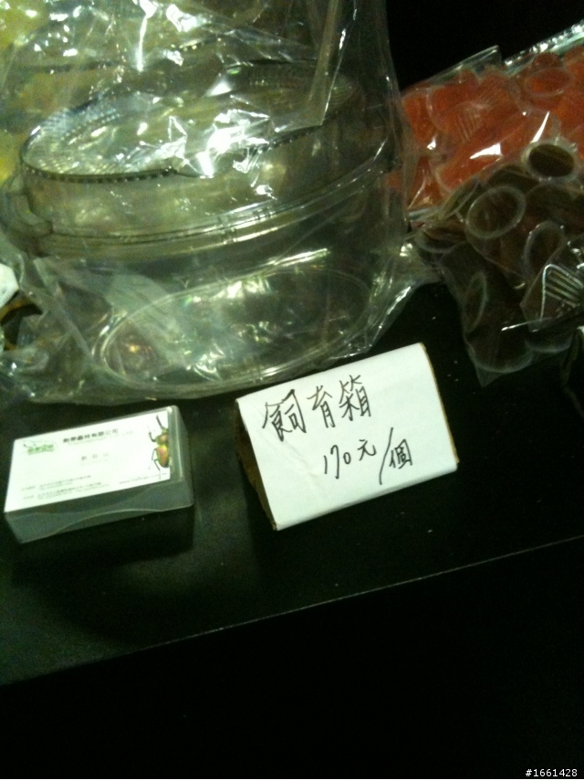 華山文化園區昆蟲博覧會.......《認養甲蟲》.........應台大姊您看看....如此劣質的台灣文化教育