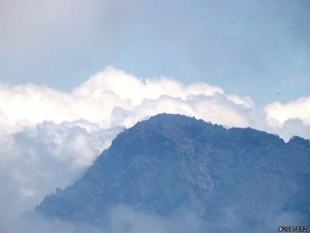 2012-7-3阿里山大凍山行(順遊迷糊步道福山古道)