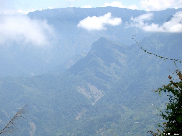 2012-7-3阿里山大凍山行(順遊迷糊步道福山古道)