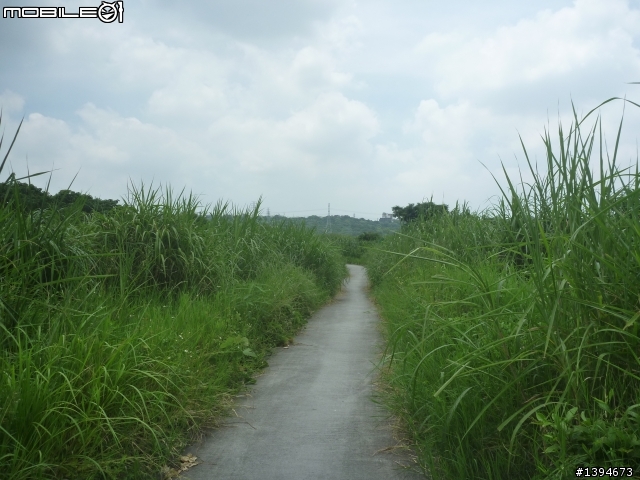 異龍X1: 華江橋-鶯歌-大溪橋