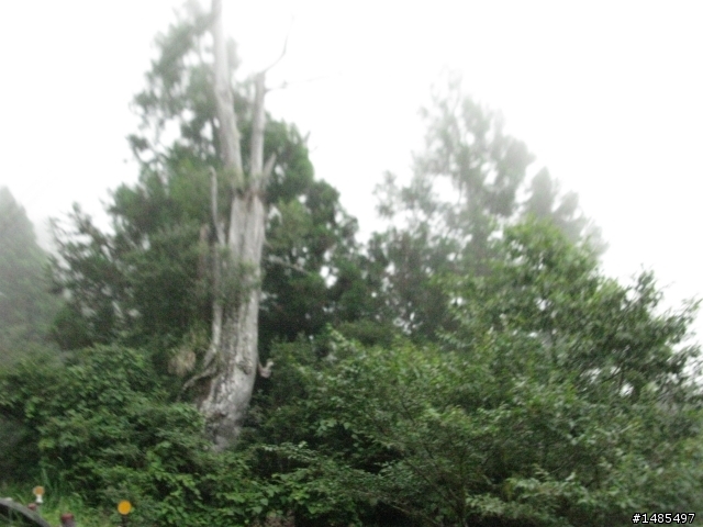 總爬升5371公尺的一日雙北橫太平山來回之旅~