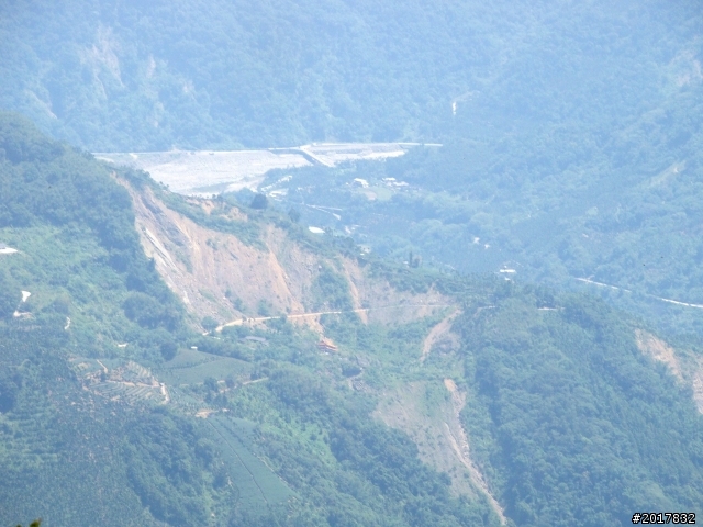 2012-7-3阿里山大凍山行(順遊迷糊步道福山古道)
