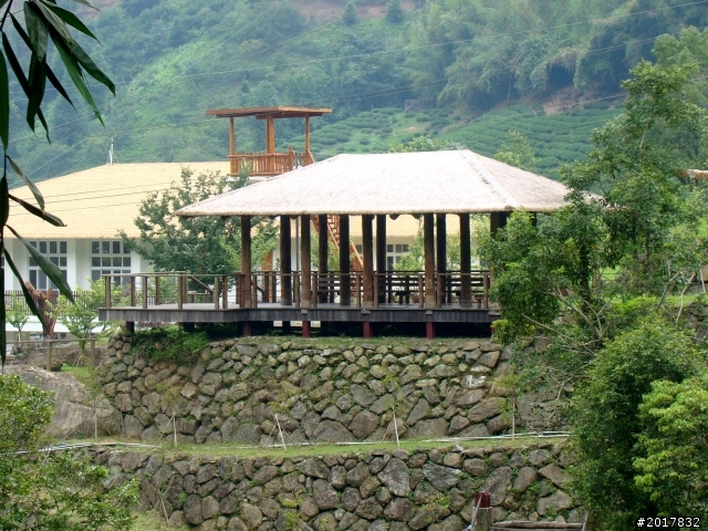 2012-7-3阿里山大凍山行(順遊迷糊步道福山古道)