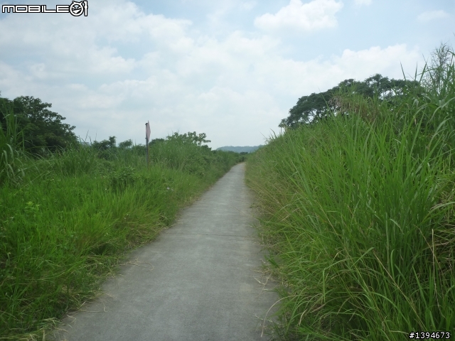 異龍X1: 華江橋-鶯歌-大溪橋