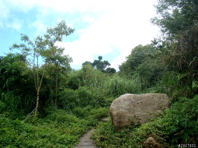 2012-7-3阿里山大凍山行(順遊迷糊步道福山古道)