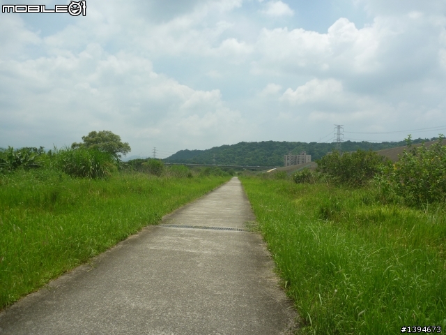 異龍X1: 華江橋-鶯歌-大溪橋