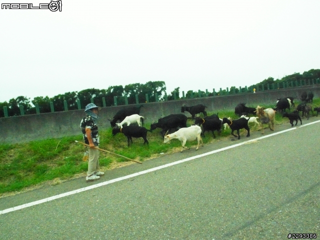 檔車環島_五大經典路段分享