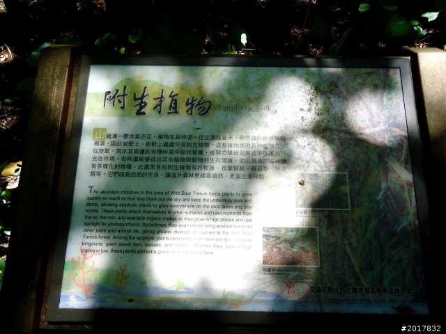 2012-7-15天神遺落在凡間 的一顆珍珠小琉球之旅
