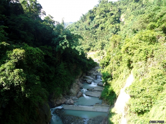 2012-7-3阿里山大凍山行(順遊迷糊步道福山古道)