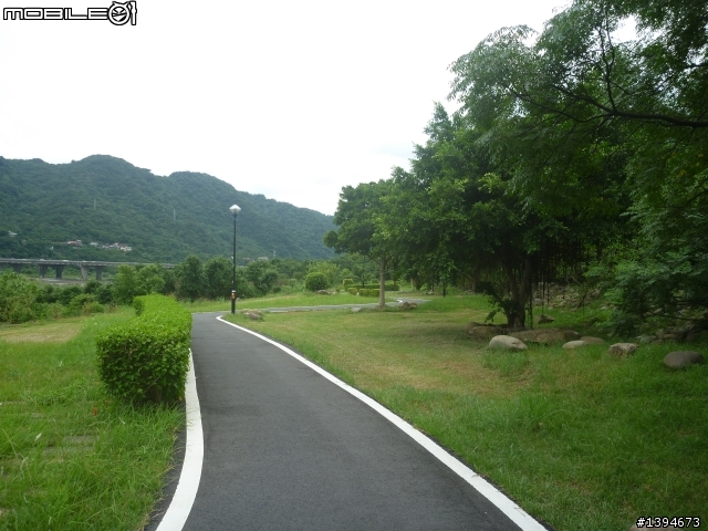 異龍X1: 華江橋-鶯歌-大溪橋