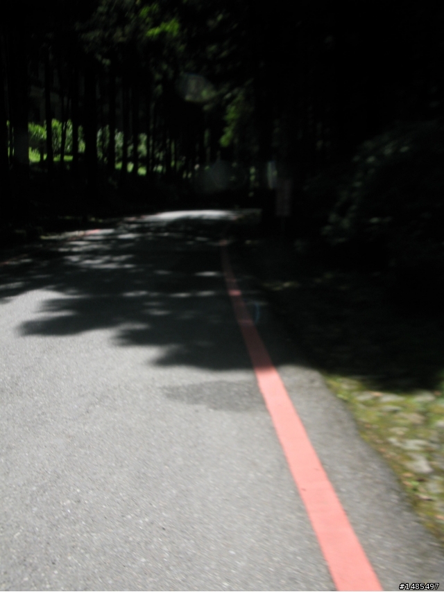 總爬升5371公尺的一日雙北橫太平山來回之旅~