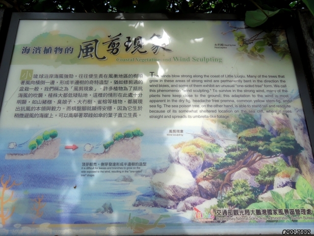 2012-7-15天神遺落在凡間 的一顆珍珠小琉球之旅