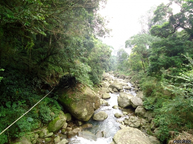 2012-7-3阿里山大凍山行(順遊迷糊步道福山古道)
