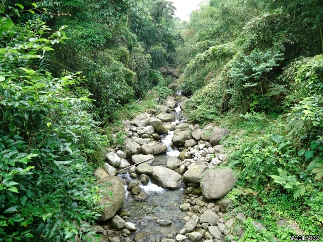 2012-7-3阿里山大凍山行(順遊迷糊步道福山古道)