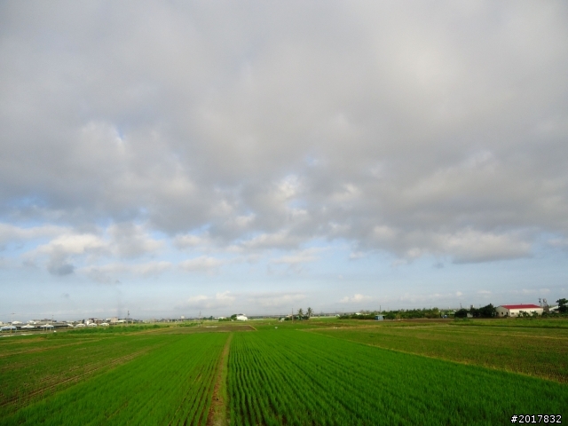 2012-7-3阿里山大凍山行(順遊迷糊步道福山古道)