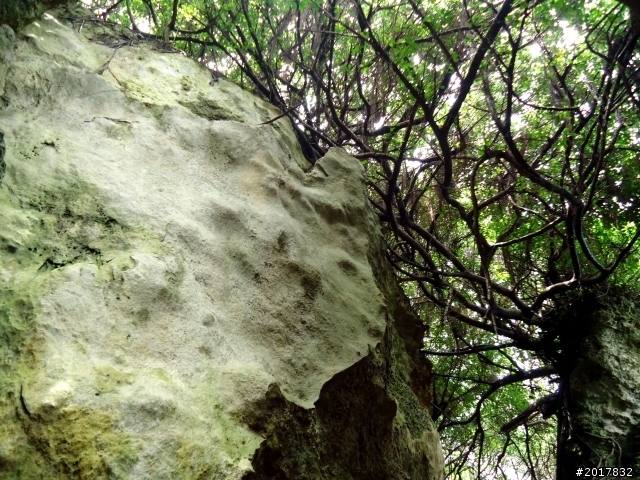 2012-7-15天神遺落在凡間 的一顆珍珠小琉球之旅
