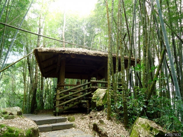 2012-7-3阿里山大凍山行(順遊迷糊步道福山古道)