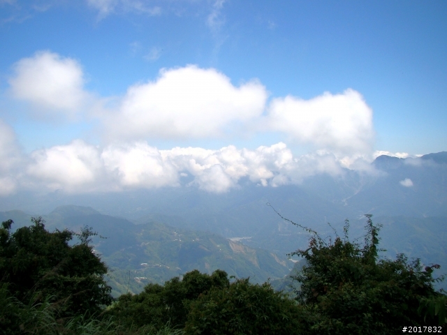 2012-7-3阿里山大凍山行(順遊迷糊步道福山古道)