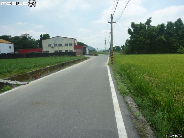 異龍X1: 華江橋-鶯歌-大溪橋