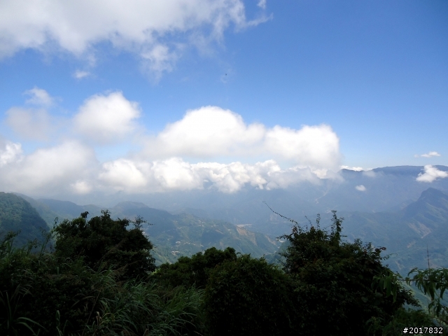 2012-7-3阿里山大凍山行(順遊迷糊步道福山古道)