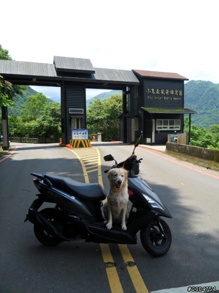 省道一姐司馬冒險,派大欣閃出尿!