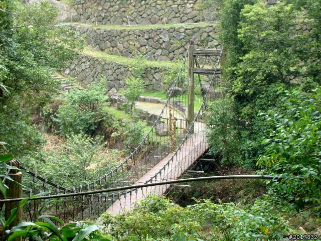 2012-7-3阿里山大凍山行(順遊迷糊步道福山古道)