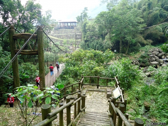2012-7-3阿里山大凍山行(順遊迷糊步道福山古道)