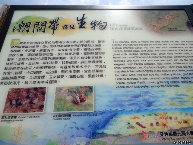 2012-7-15天神遺落在凡間 的一顆珍珠小琉球之旅