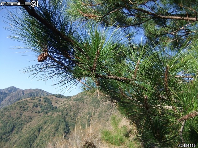 分享玉山暴走未公開照片