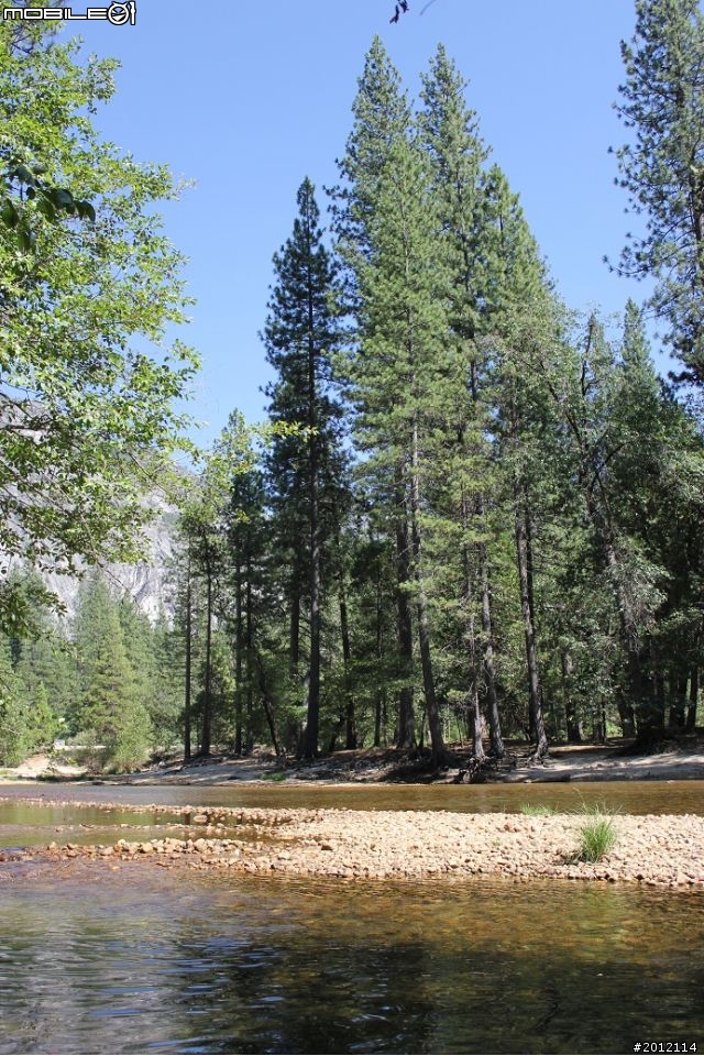 加州旅行箱日記 ~ Yosemite Park