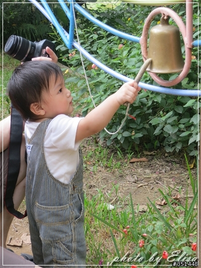 飛牛牧場~來跟小動物們做朋友