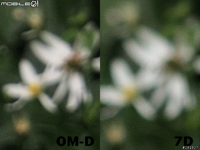 Olympus E-M5 Kit vs Canon 7D+24-70L 實拍畫質比較