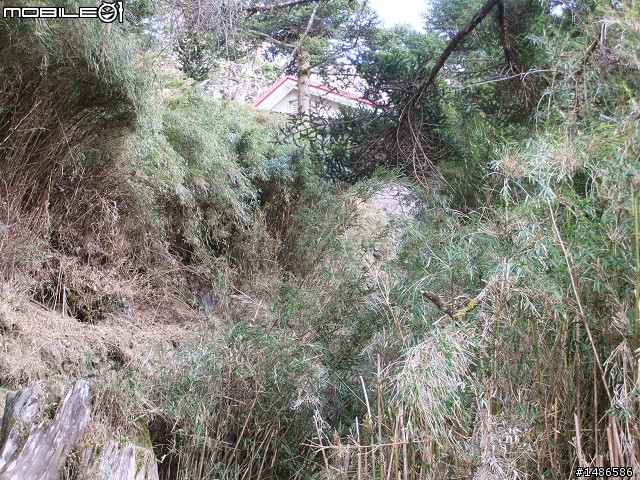 分享玉山暴走未公開照片