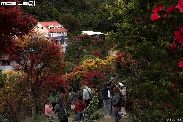 DP2X的回顧與展望DP2M