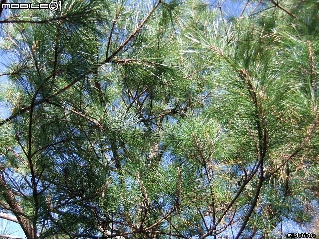 分享玉山暴走未公開照片