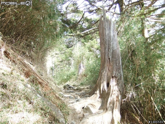 分享玉山暴走未公開照片