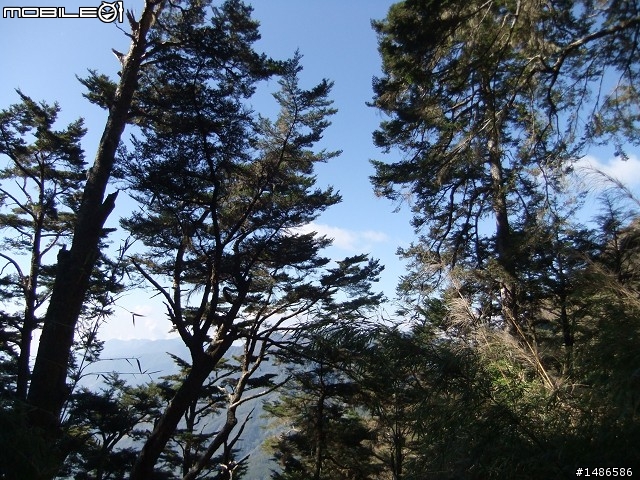 分享玉山暴走未公開照片