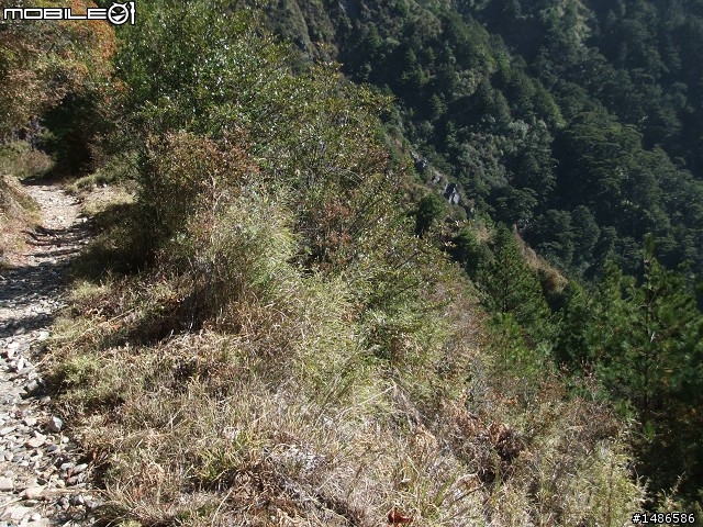 分享玉山暴走未公開照片